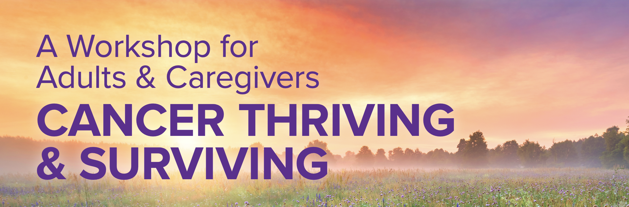 Screenshot 2026-02-04 at 12.00.49 PM